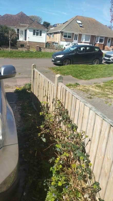 Photo of free Fences and posts (Saltdean) #3