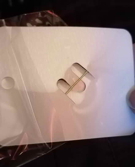 Photo of free Sunflower broach (Blaydon NE21) #4