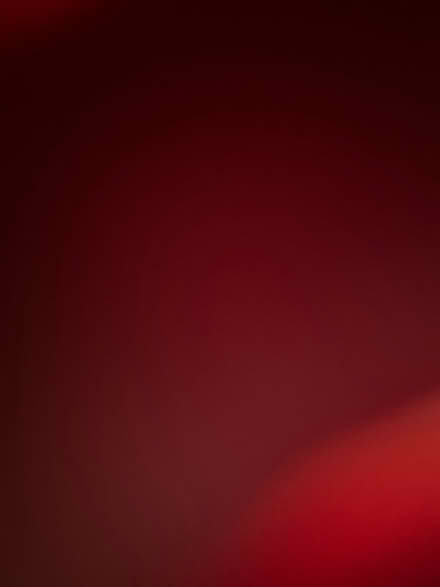 Photo of Plant cuttings (IP14) #1