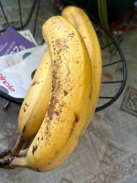 Photo of free 3 ripe Bananas (Near Main Street Laurel Md) #1