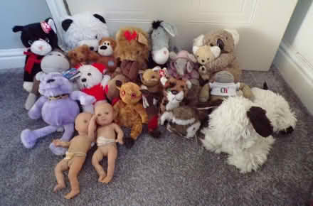 Photo of free Soft Toys (Wistaston) #1