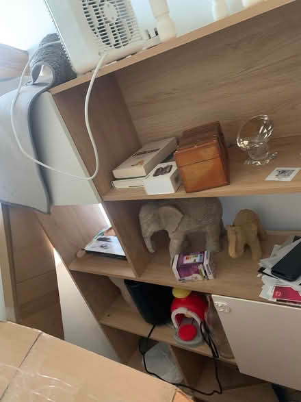 Photo of free Sofa, long lamp, shelf, wall decor (Dalmney Avenue N7) #4