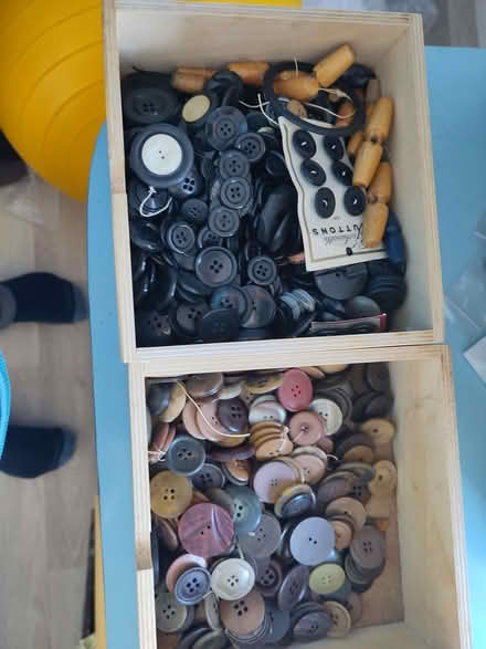 Photo of free Assorted buttons and buckles (Hollingdean BN1) #4