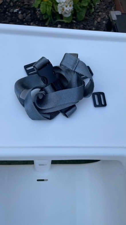 Photo of free Toddler high chair seat (E17) #3