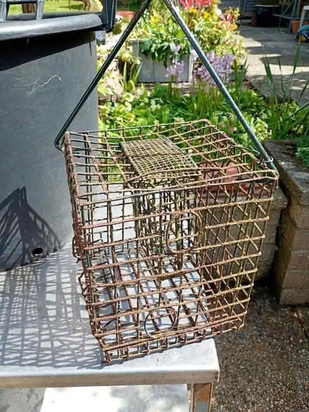 Photo of free 2 Bird nest boxes, & small bird fat block feeder (Parkstone BH14) #2