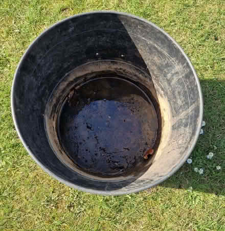 Photo of free Large black plastic pot suitable for specimen plants bamboos (Eaton NR4) #2