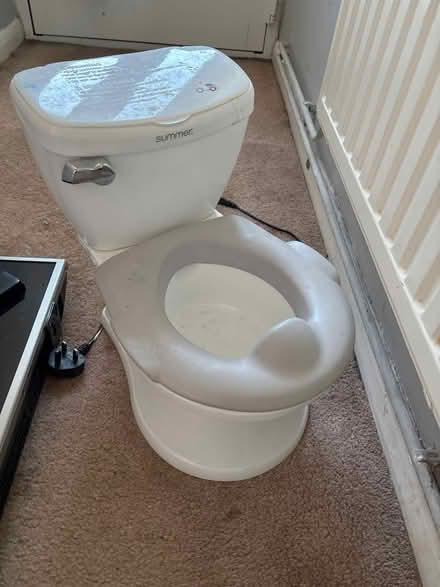 Photo of free Child’s potty (Allington ME16) #1