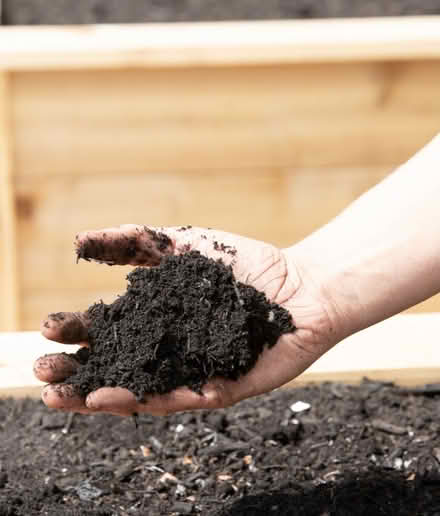 Photo of Garden soil (Le5) #1