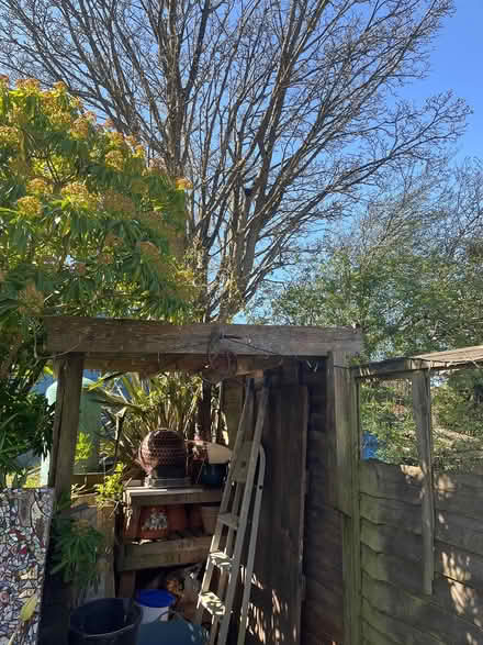 Photo of Roofing felt (Ore TN35 5HW) #1