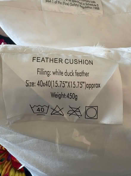 Photo of free 2 feather cushions unused (Scarborough YO12) #2