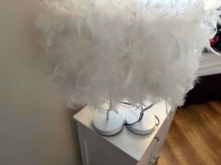 Photo of free Multiple items and appliances (East finchley n2 0ph) #3