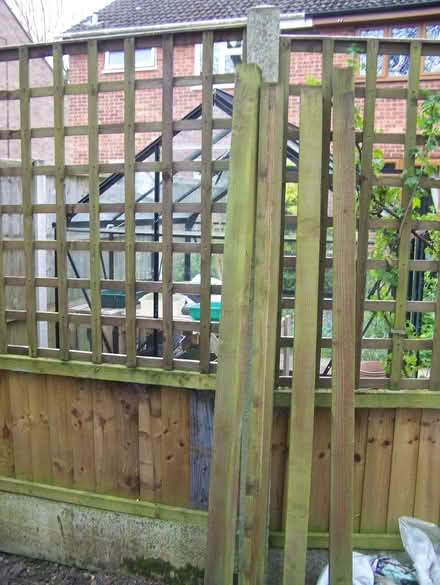 Photo of free Fence Posts (Mickleover DE3) #1
