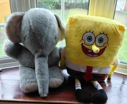 Photo of free Large soft toys (Twyford RG10) #1