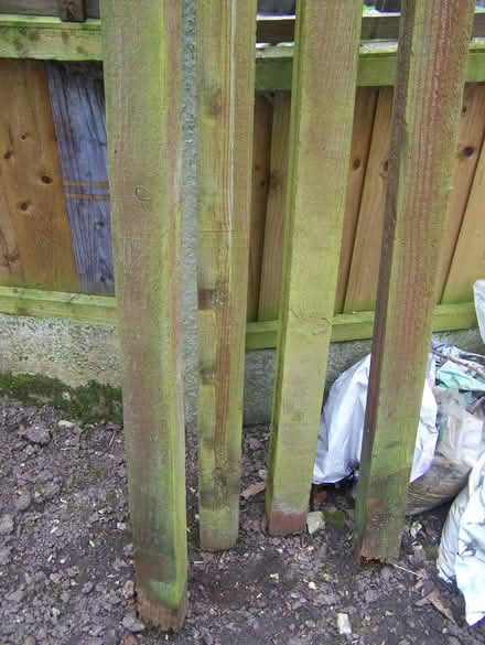 Photo of free Fence Posts (Mickleover DE3) #2