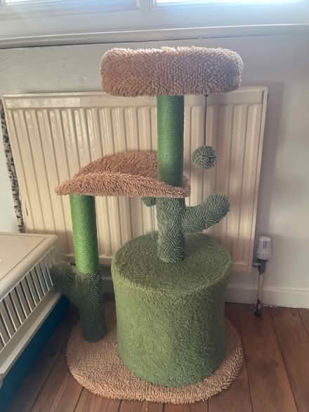 Photo of free Cat tree (New Cross SE14) #2