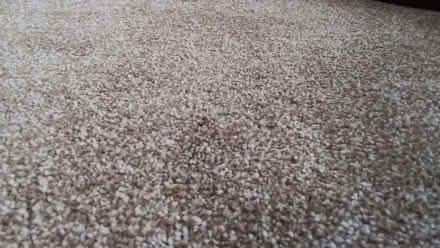 Photo of free Carpet offcut (Strood ME2) #1