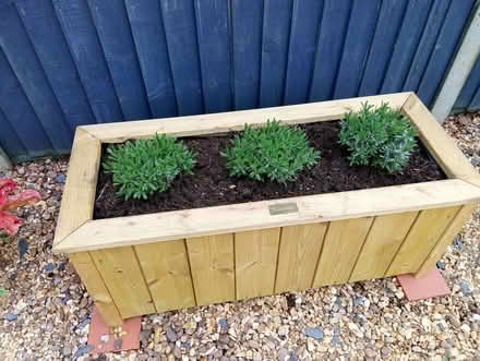 Photo of free Wooden trough, very good condition (Heacham PE31) #2