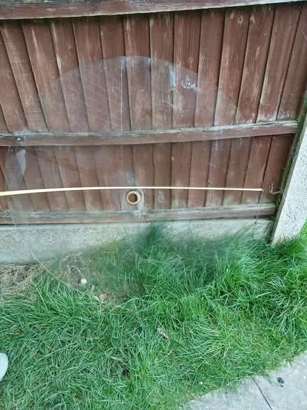 Photo of free Replacement glass table top (East bergholt CO7) #2