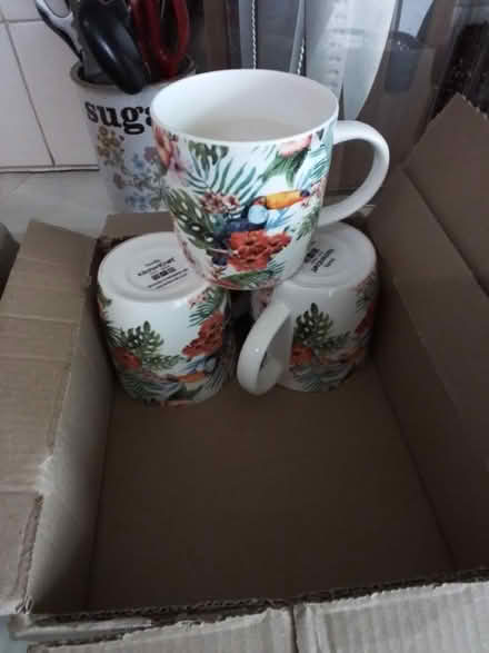 Photo of free Three quite large China mugs with tropical (Mile Oak BN41) #1