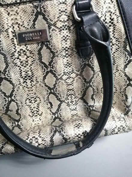 Photo of free Fiorelli handbag (BD2) #2