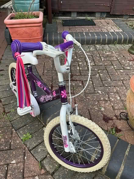 Photo of free Girls bike (Hextable BR8) #2