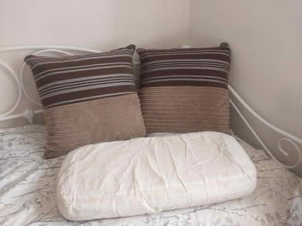 Photo of free Cushions x3 (Slindon common BN18) #2