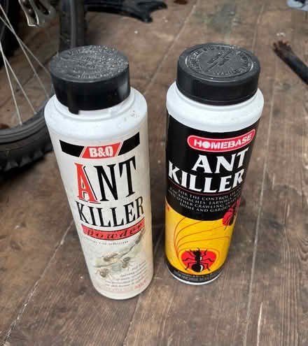 Photo of free Ant powder (Ware SG12) #1