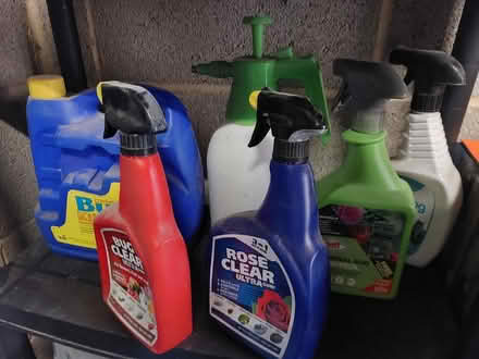 Photo of free Garden sprays (Wrose BD2) #1