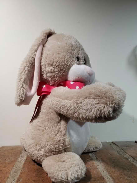 Photo of free Mechanical singing bunny (Near Experimental Farm) #2