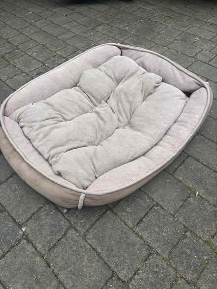 Photo of free Selection of high quality Dog beds (Palmers green, N13) #3