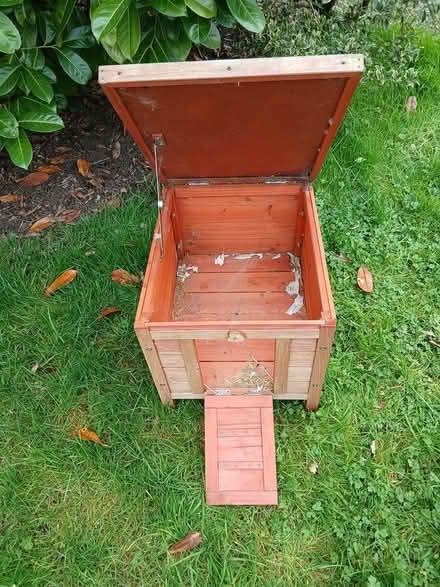Photo of free Wooden hen or other small pet house (East bergholt CO7) #3