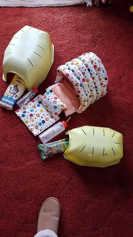 Photo of free Guinea pig items (Basildon SS14) #1