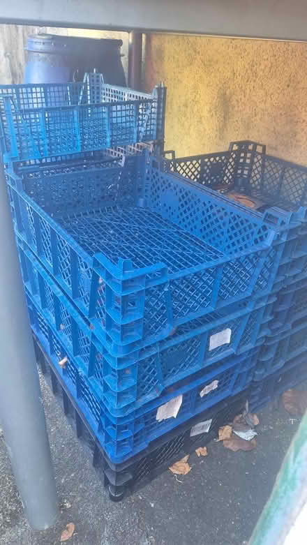 Photo of free Plastic trays #2 (Allestree DE22) #1