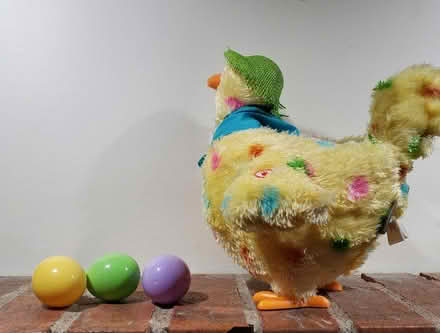 Photo of free Hallmark Egg Laying Easter Chicken (Near Experimental Farm) #2