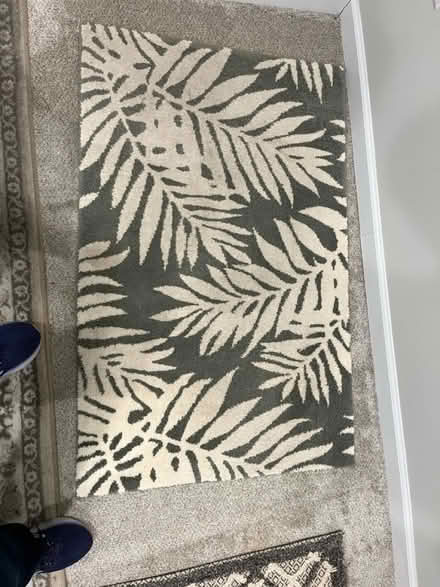 Photo of free Rug (Randolph Hills (Ashley Drive)) #1