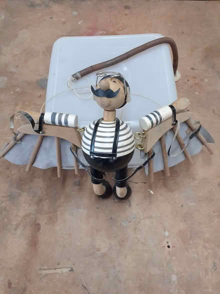 Photo of free Intrepid Birdman (Lightwater Ward GU18) #1