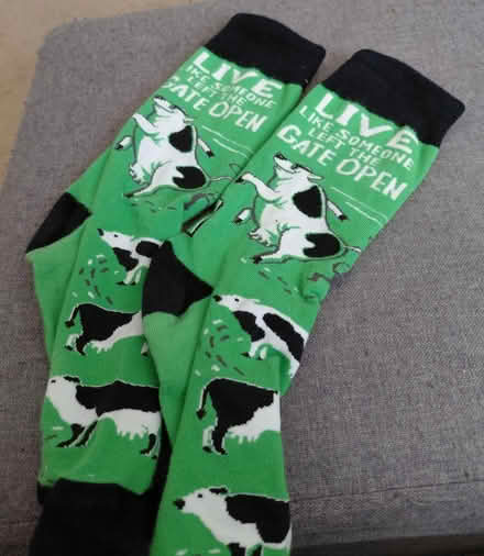 Photo of free Cute socks (Hollymead) #1