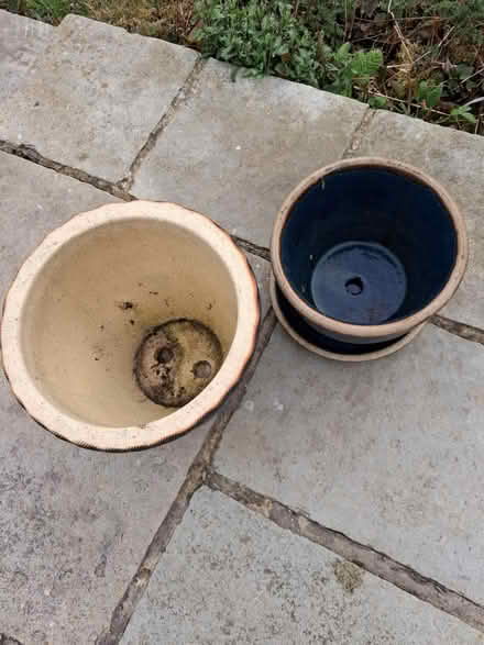 Photo of free Plant pots (Fleetville) #2