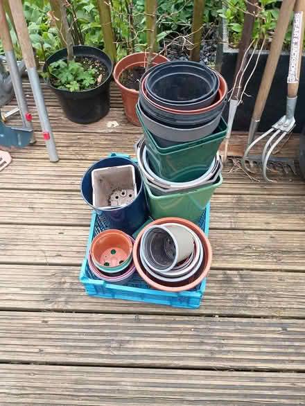 Photo of free Flower pots (Southwater) #1