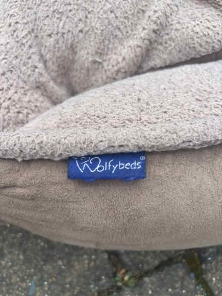 Photo of free Selection of high quality Dog beds (Palmers green, N13) #2