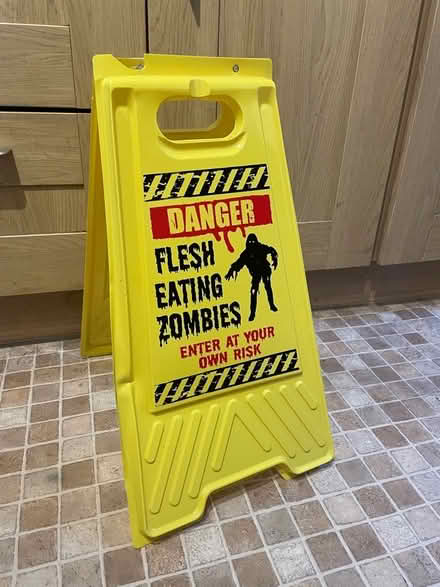 Photo of free Halloween decorations (Ludlow SY8) #1