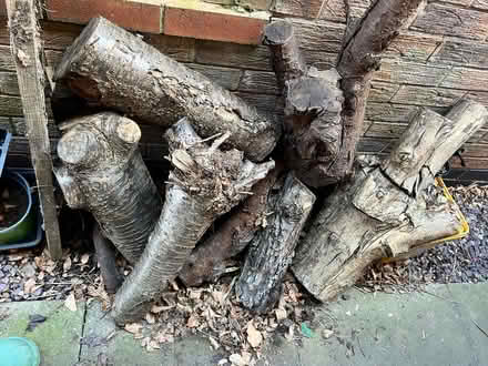 Photo of free Seasoned Firewood (Arnold, NG5) #1