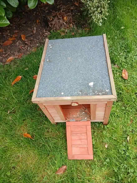 Photo of free Wooden hen or other small pet house (East bergholt CO7) #2