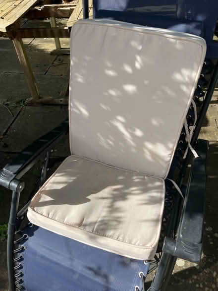 Photo of free Seat cushions (Brentwood CM13) #2