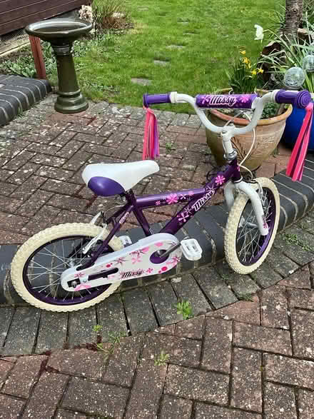 Photo of free Girls bike (Hextable BR8) #1