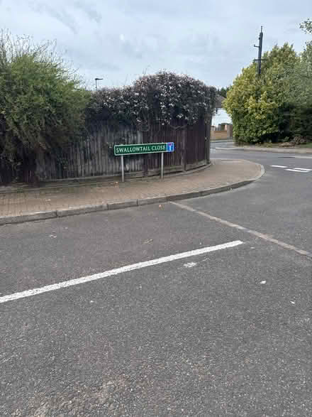 Photo of free earth (BR5) #3