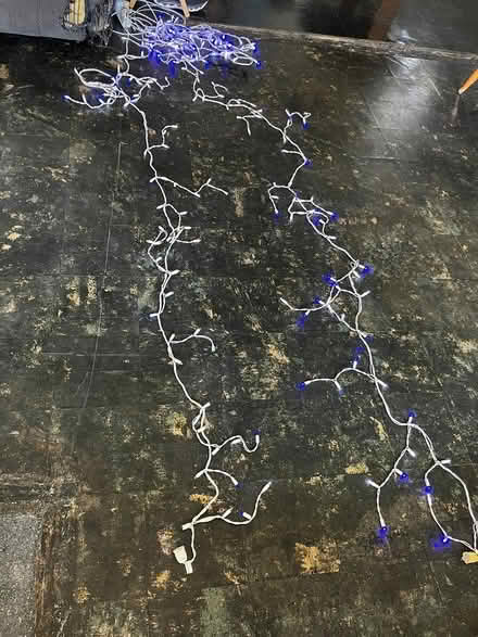 Photo of free Used Xmas Lights (Bethesda) #1