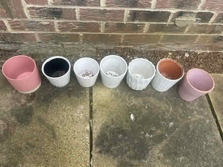 Photo of free Plant pots (Kidlington) #2