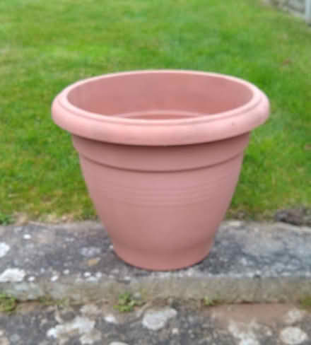 Photo of free Plastic Plant Pot (St Austell) #1