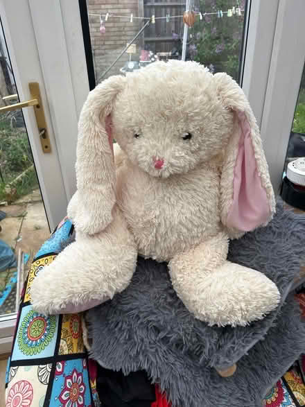 Photo of free Large cream bunny (Peachcroft OX14) #1